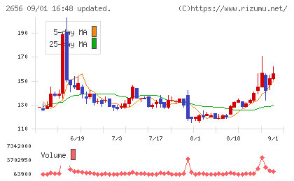 ベクターホールディングスチャート