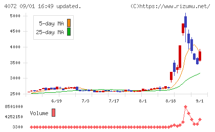 電算システムホールディングスチャート