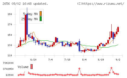 ベクターホールディングスチャート