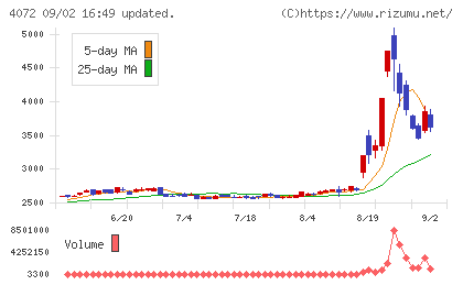 電算システムホールディングスチャート