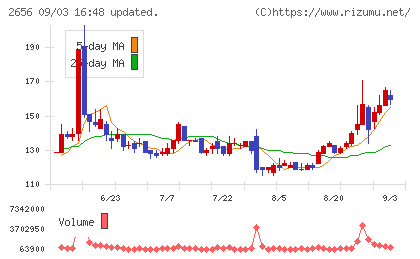 ベクターホールディングスチャート