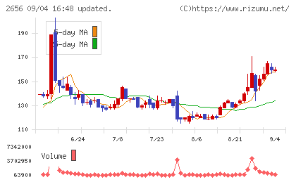 ベクターホールディングスチャート