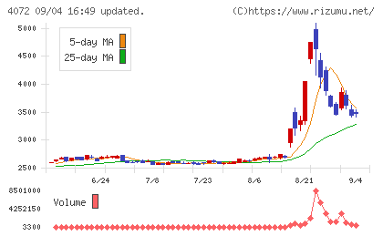電算システムホールディングスチャート