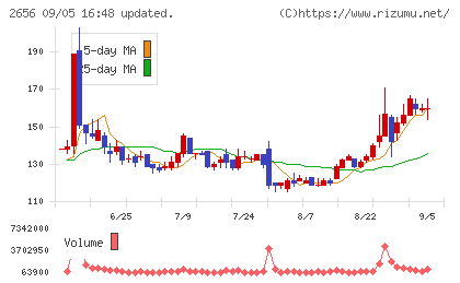 ベクターホールディングスチャート
