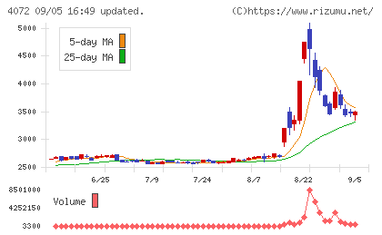 電算システムホールディングスチャート