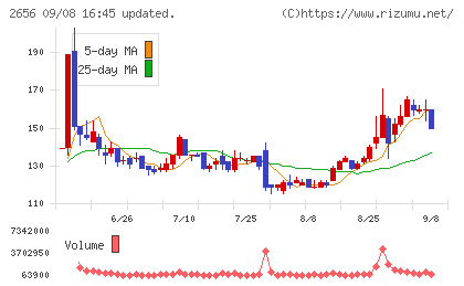 ベクターホールディングスチャート
