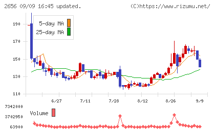 ベクターホールディングスチャート