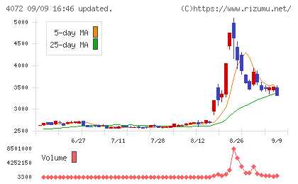 電算システムホールディングスチャート