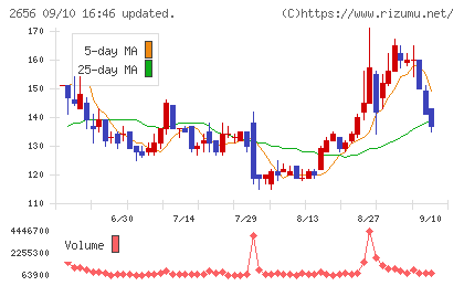 ベクターホールディングスチャート