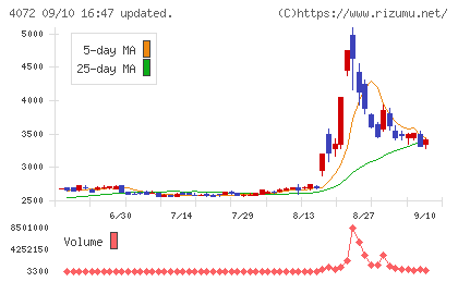 電算システムホールディングスチャート
