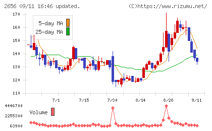 ベクターホールディングスチャート