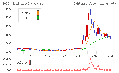 電算システムホールディングスチャート