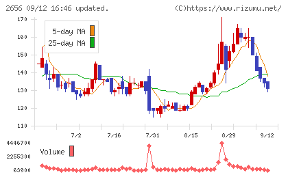 ベクターホールディングスチャート