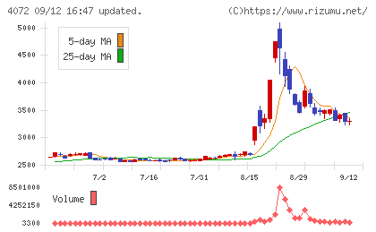 電算システムホールディングスチャート