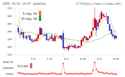 ベクターホールディングスチャート