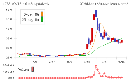 電算システムホールディングスチャート