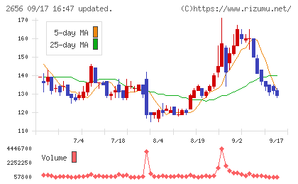 ベクターホールディングスチャート