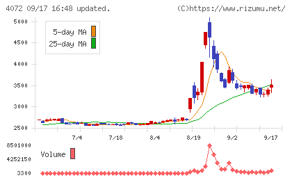 電算システムホールディングスチャート