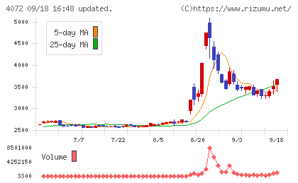 電算システムホールディングスチャート