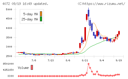 電算システムホールディングスチャート
