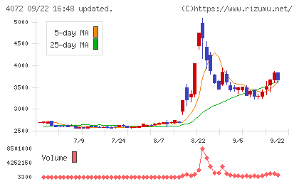 電算システムホールディングスチャート