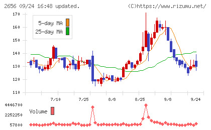 ベクターホールディングスチャート
