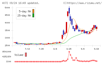 電算システムホールディングスチャート