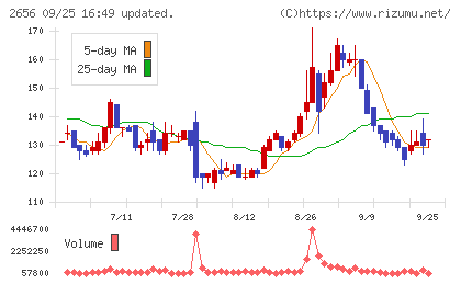 ベクターホールディングスチャート