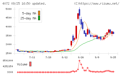 電算システムホールディングスチャート