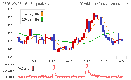 ベクターホールディングスチャート