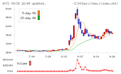 電算システムホールディングスチャート