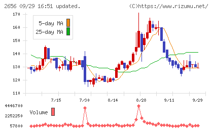 ベクターホールディングスチャート