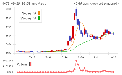 電算システムホールディングスチャート