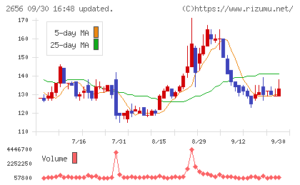 ベクターホールディングスチャート