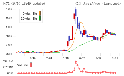 電算システムホールディングスチャート