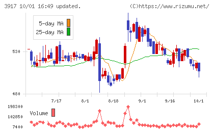 アイリッジチャート