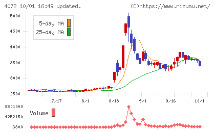 電算システムホールディングスチャート