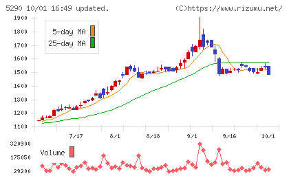 ベルテクスコーポレーションチャート