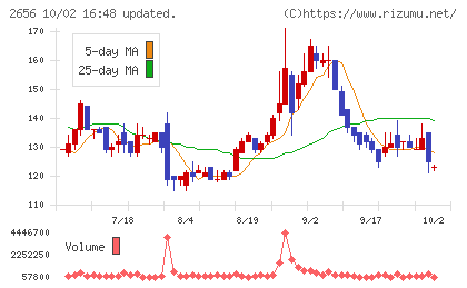 ベクターホールディングスチャート
