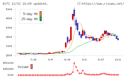 電算システムホールディングスチャート