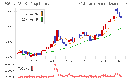 システムサポートホールディングスチャート