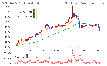 ベルテクスコーポレーションチャート