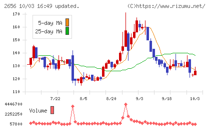 ベクターホールディングスチャート