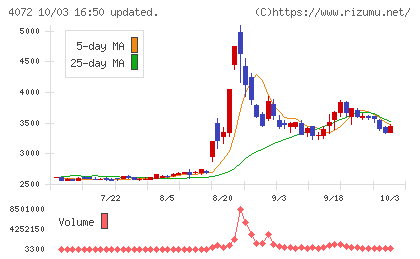 電算システムホールディングスチャート