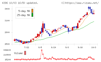 システムサポートホールディングスチャート