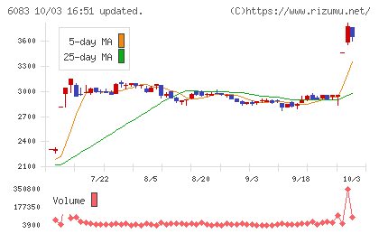 ERIホールディングスチャート