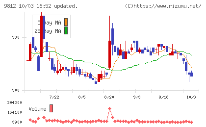 テーオーホールディングスチャート