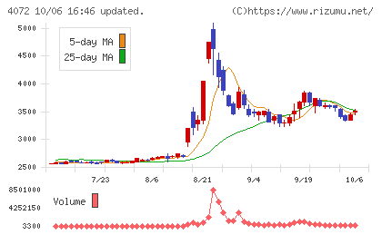 電算システムホールディングスチャート