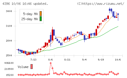 システムサポートホールディングスチャート