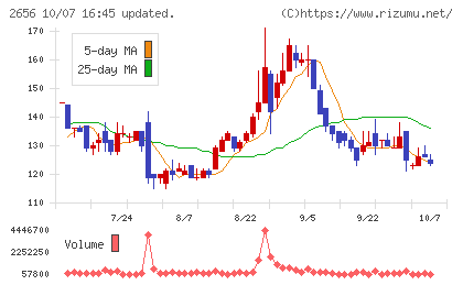 ベクターホールディングスチャート